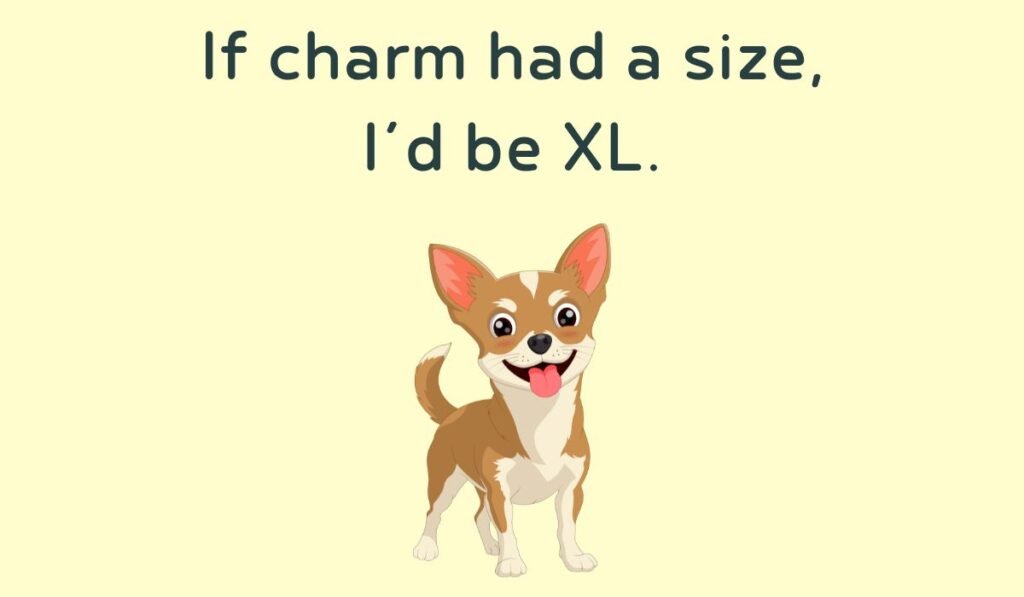 chihuahua puns and jokes