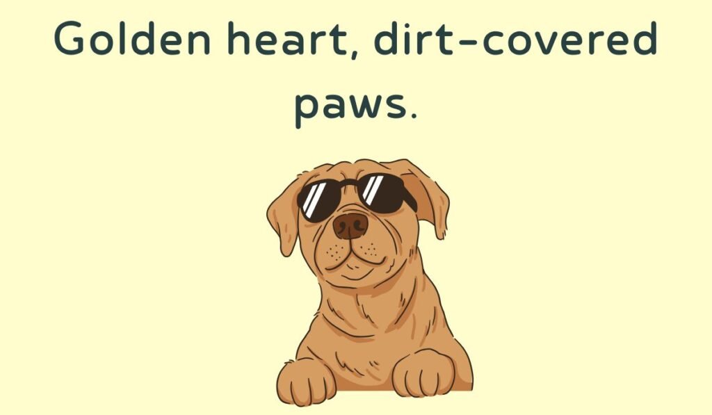 golden retriever puns and jokes
