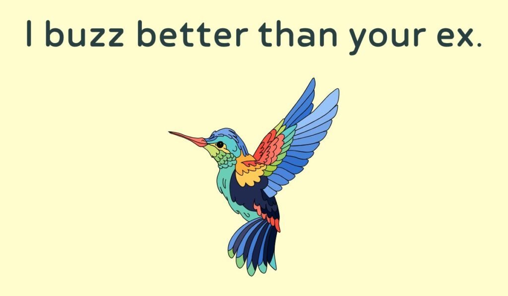 humming bird puns and jokes