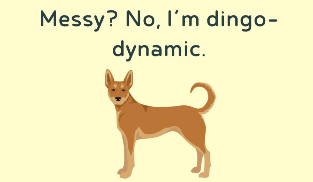 dingo puns and jokes