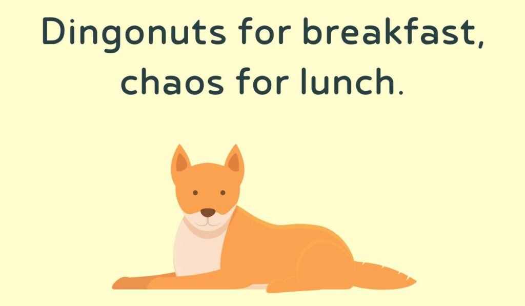 dingo puns and jokes