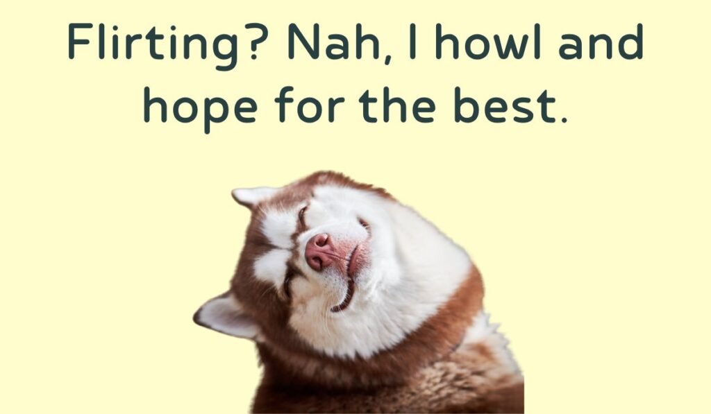wolf puns and jokes