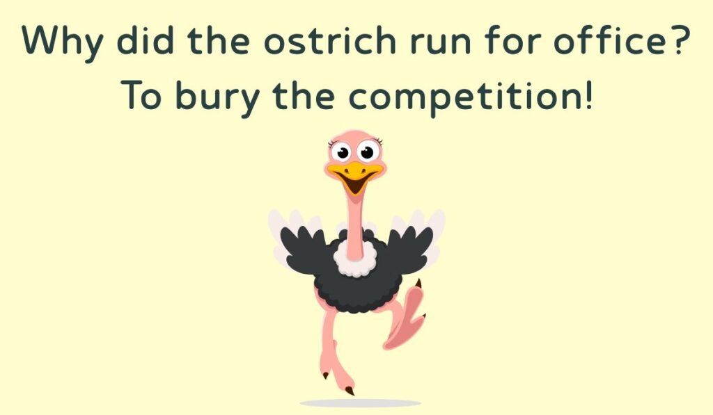 ostrich puns and jokes