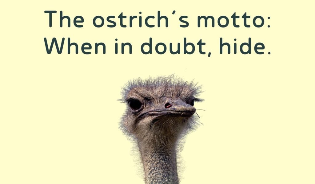 ostrich puns and jokes