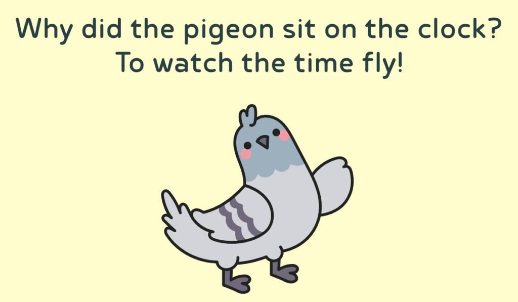 pigeon puns and jokes