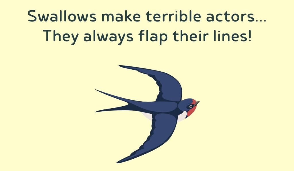 swallow puns and jokes