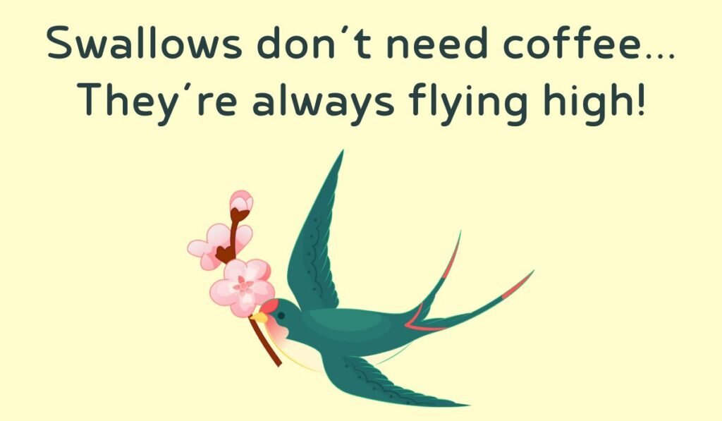 swallow puns and jokes