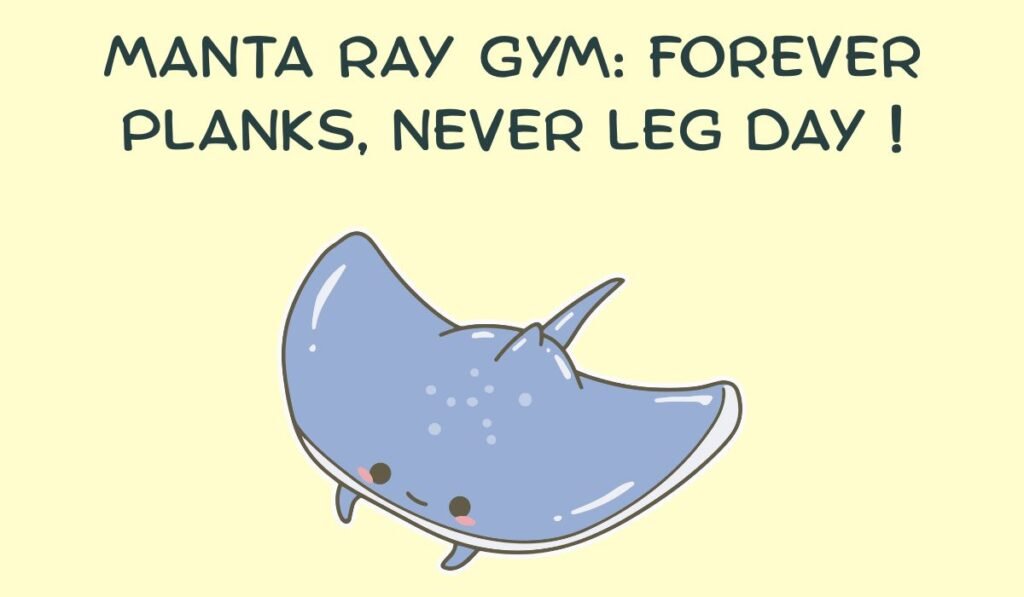 manta ray puns and jokes