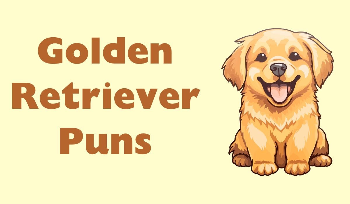 golden retriever puns and jokes