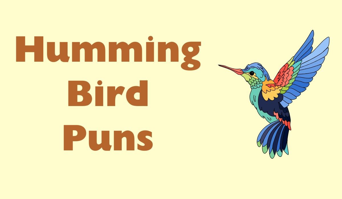 humming bird puns and jokes