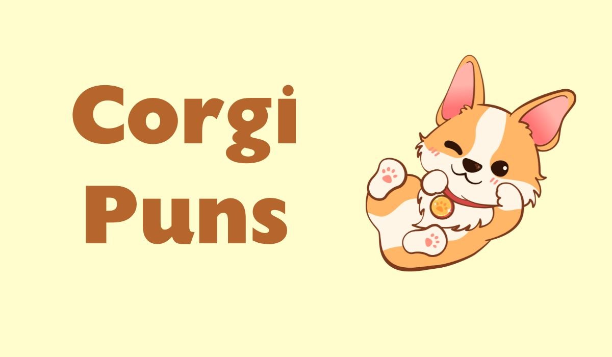 corgi puns and jokes