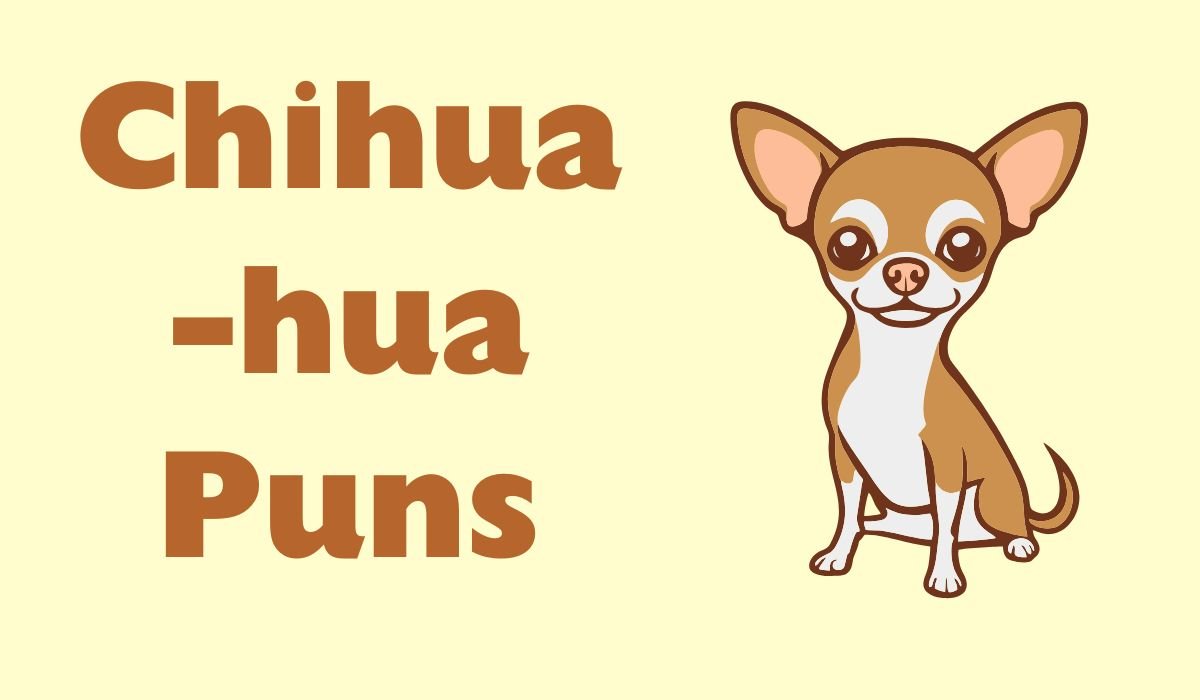 chihuahua puns and jokes