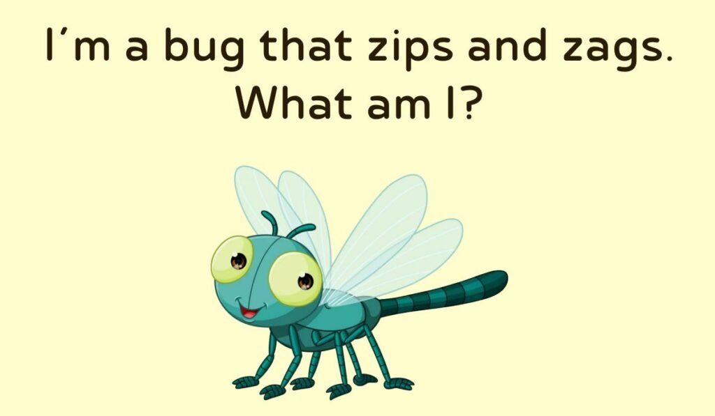 dragonfly riddles