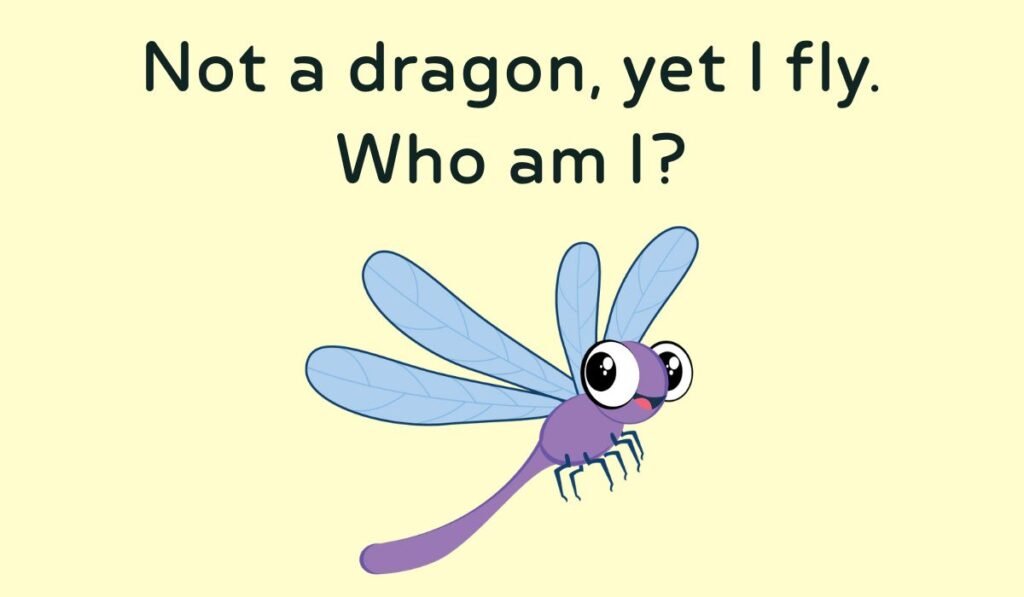 dragonfly riddles