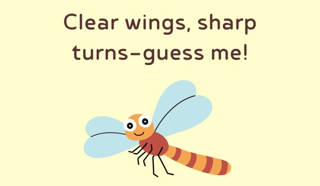 dragonfly riddles