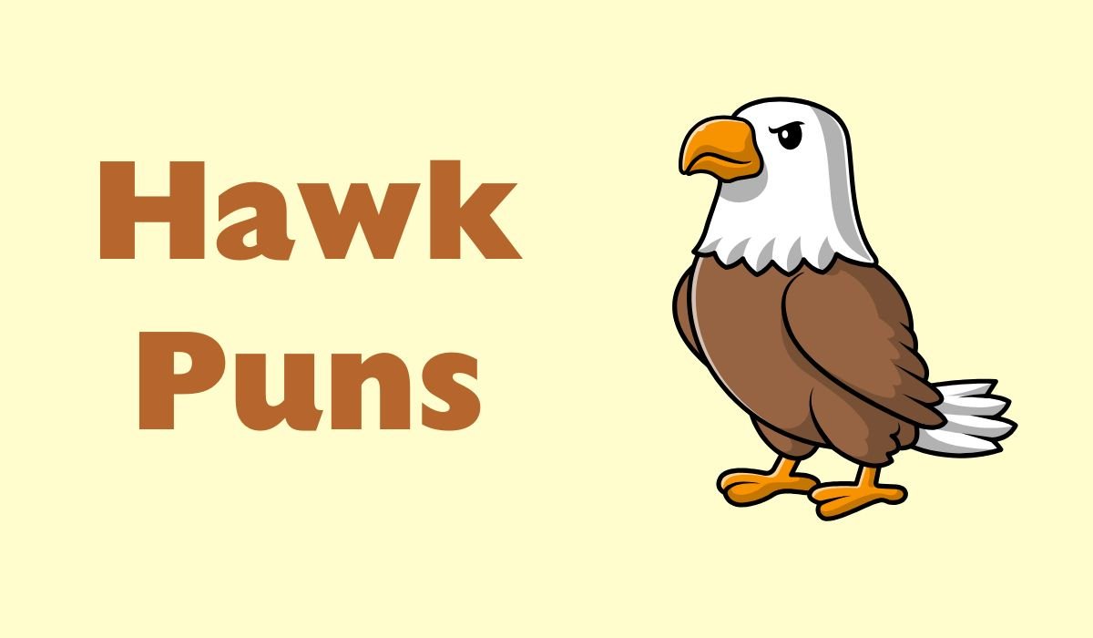 hawk puns and jokes