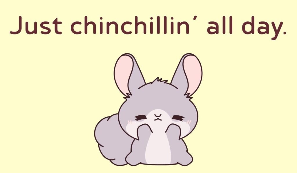 chinchilla puns and jokes