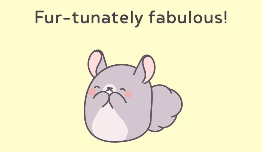chinchilla puns and jokes