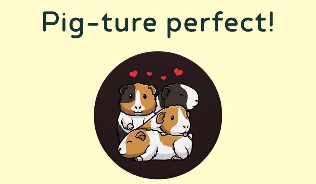 guinea pig puns and jokes