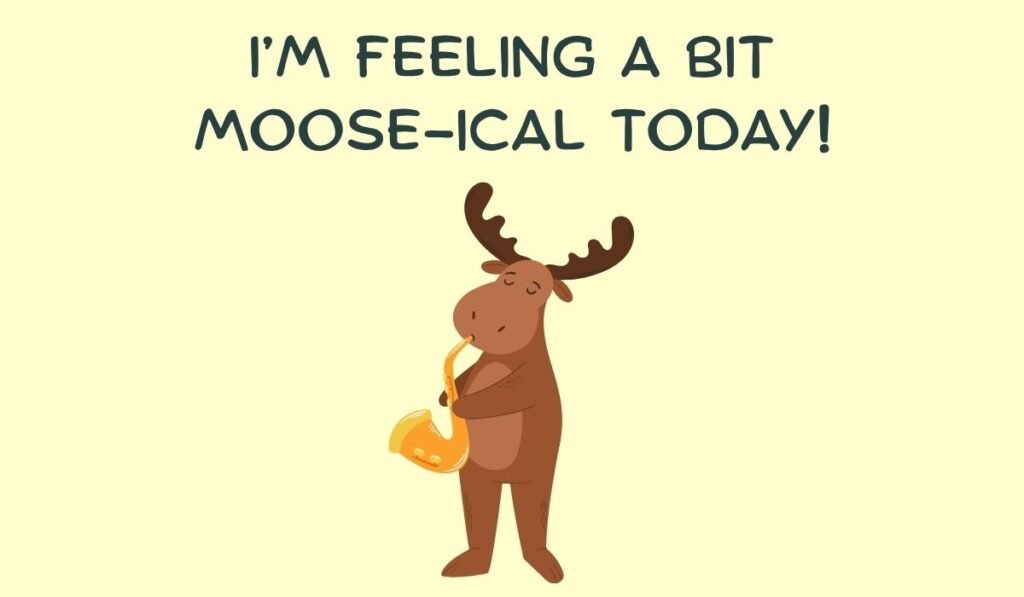 moose puns and jokes