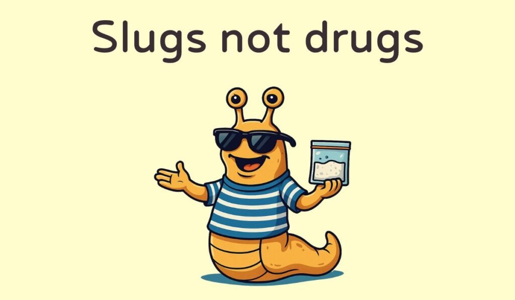 slug puns and jokes
