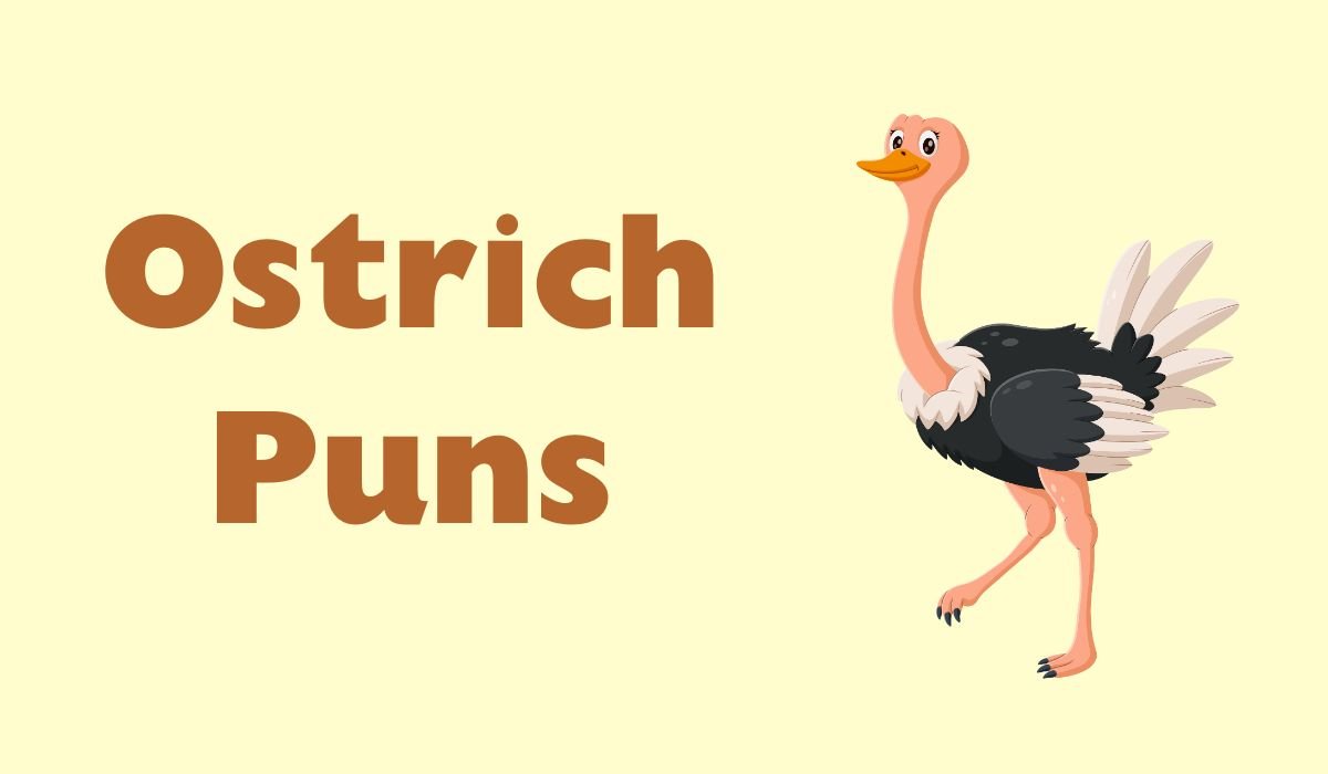 ostrich puns and jokes