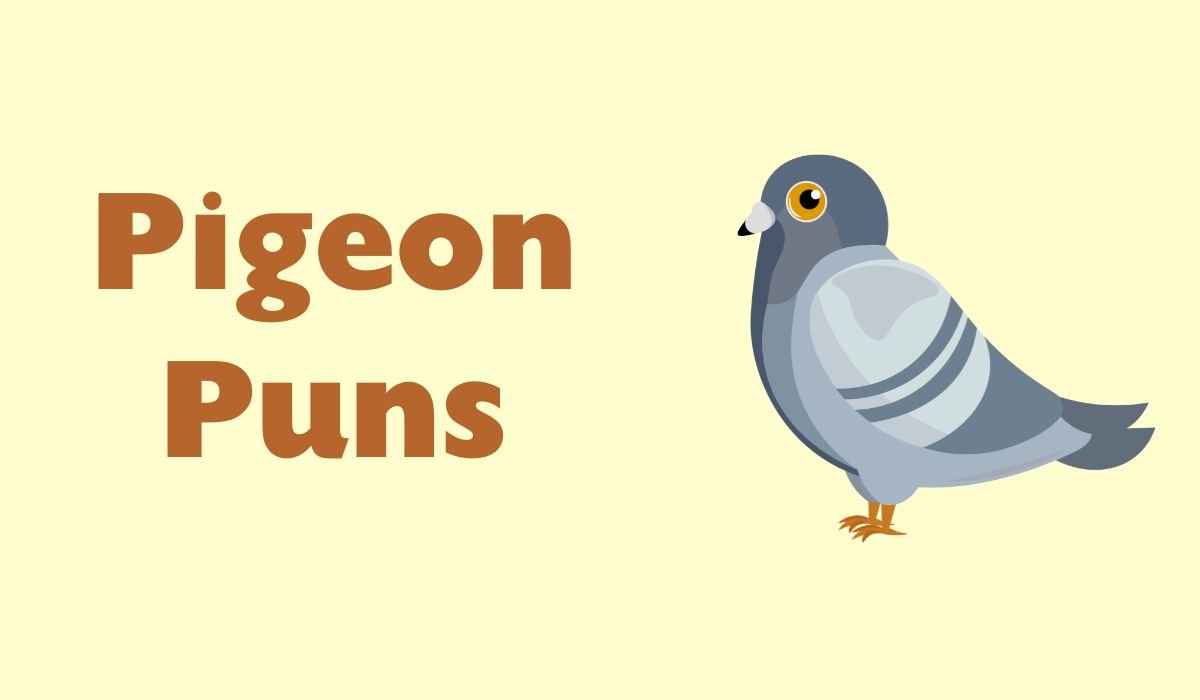 pigeon puns and jokes