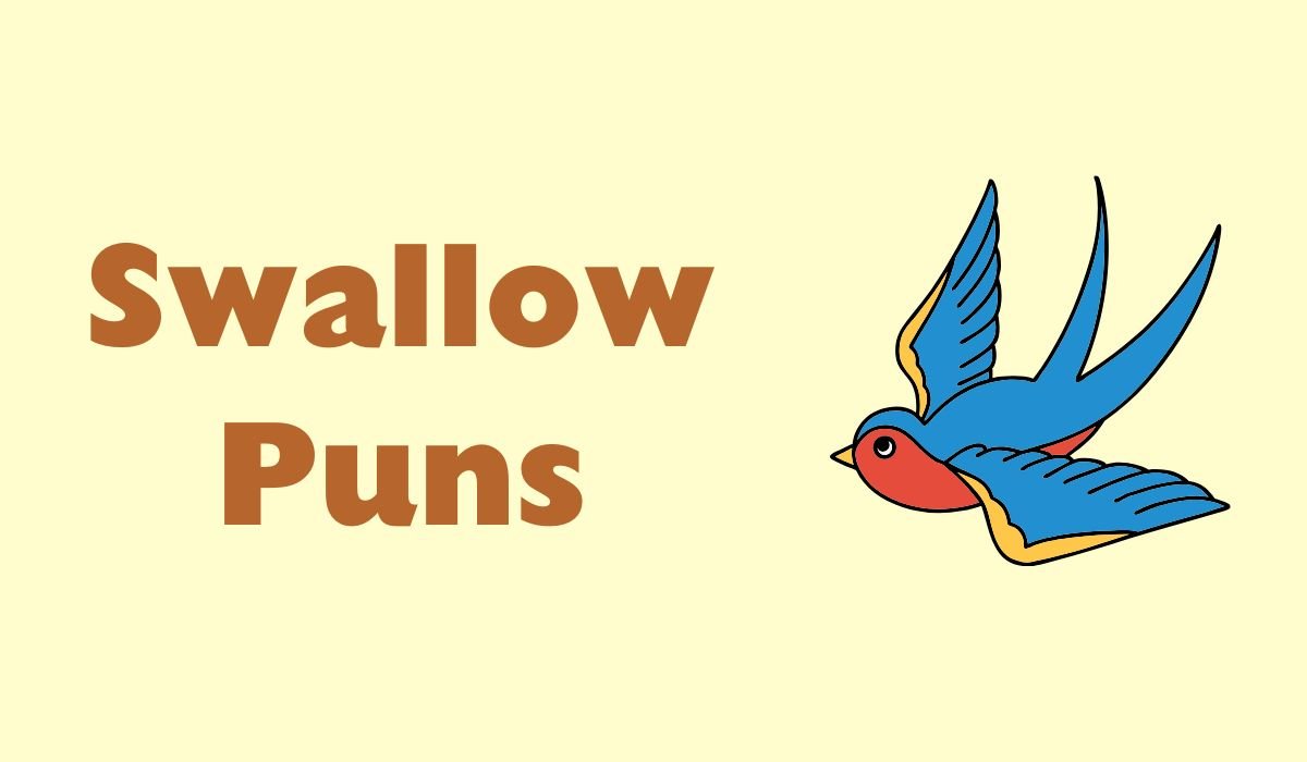 swallow puns and jokes