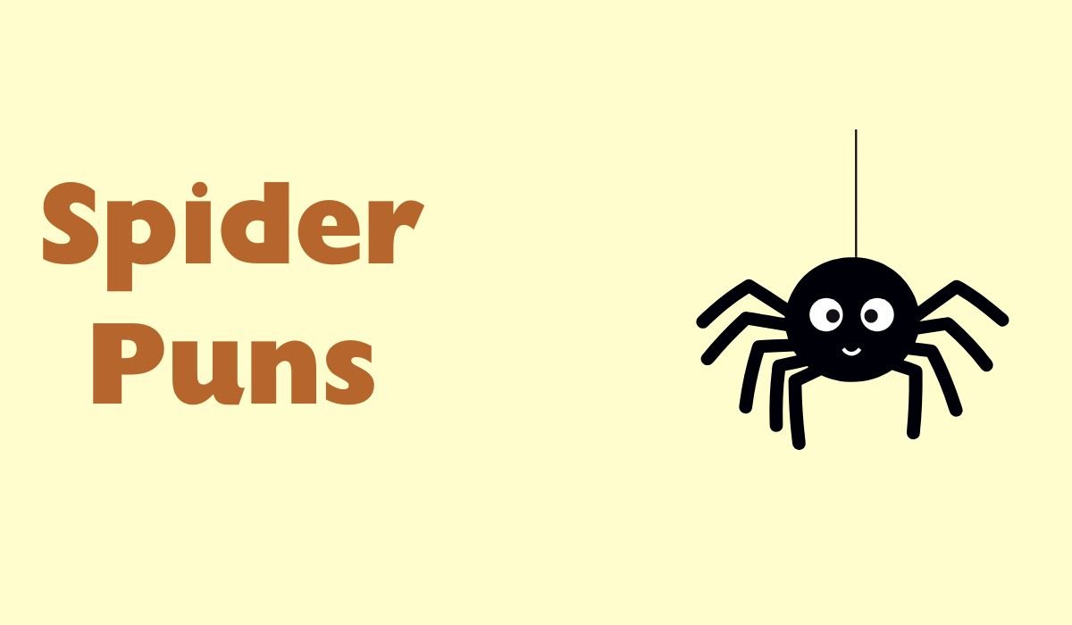 spider puns and jokes