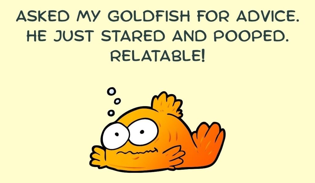 goldfish puns and jokes