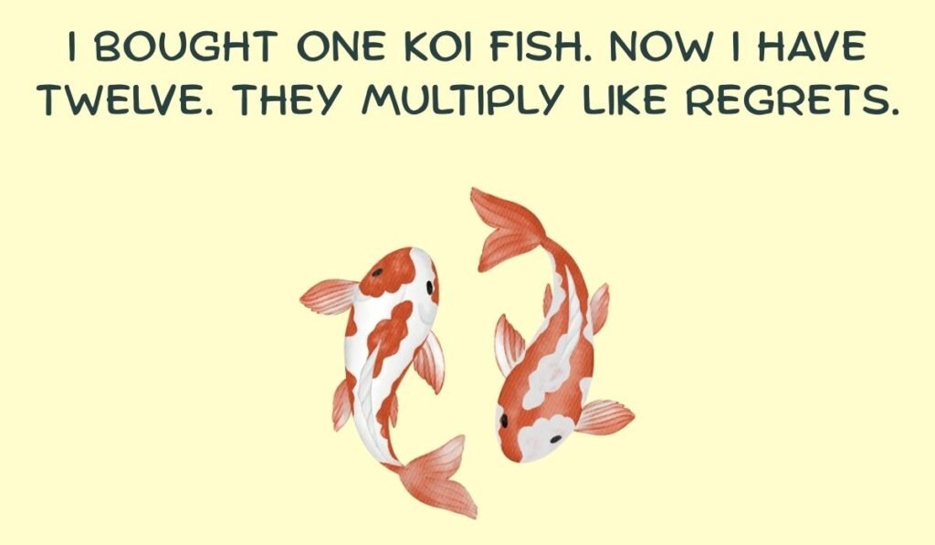 koi fish puns and jokes