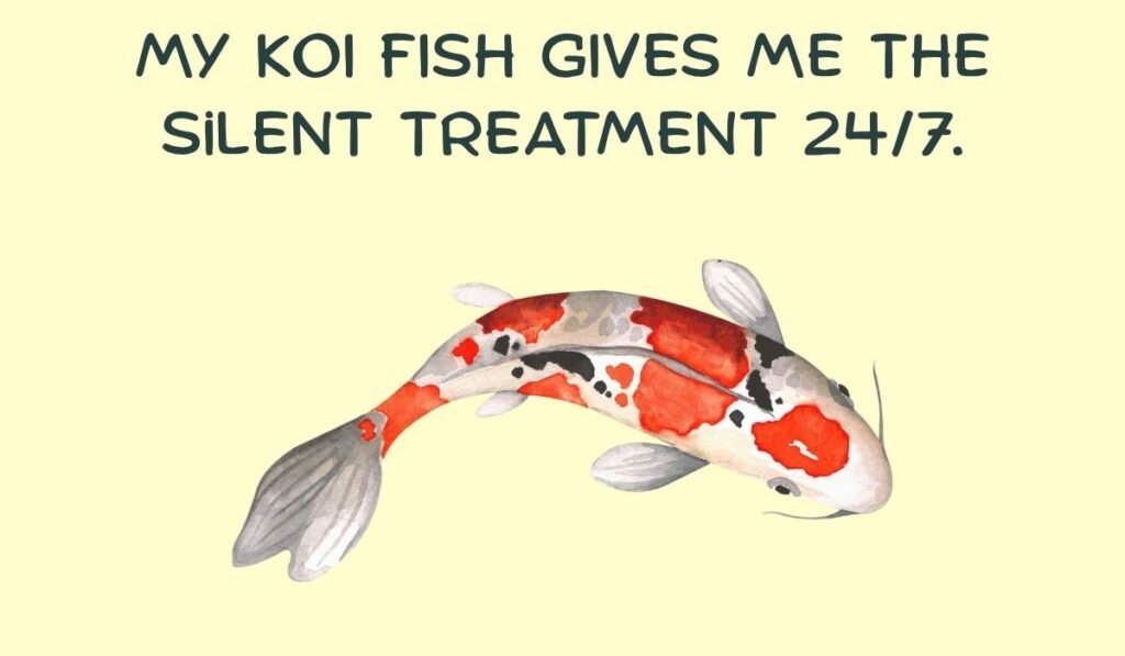 koi fish puns and jokes