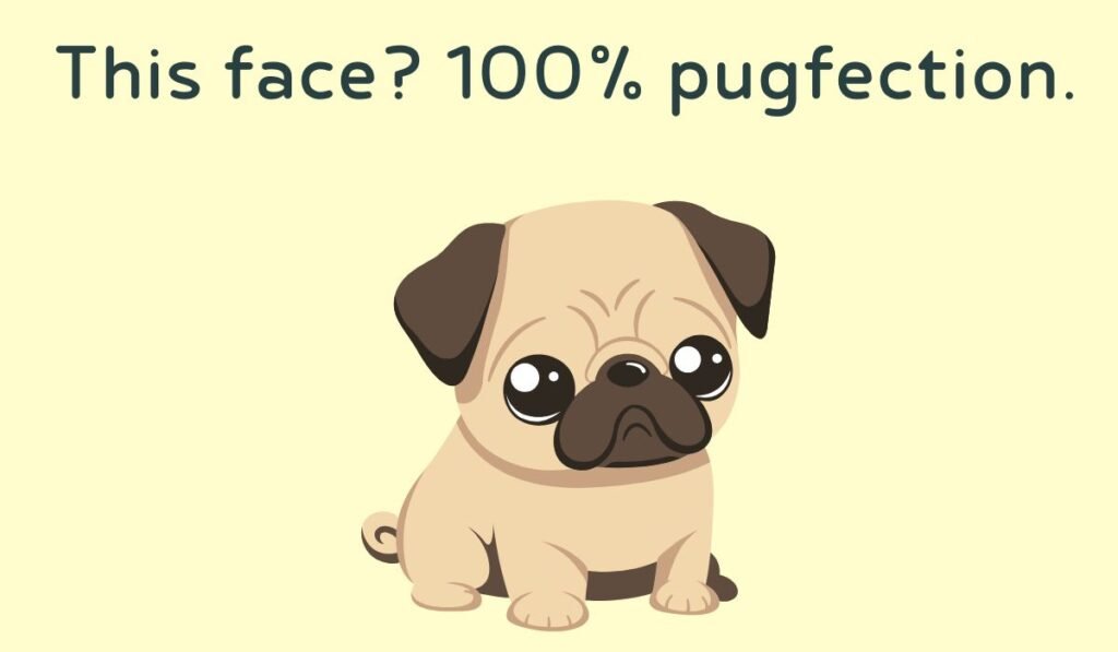 pug puns and jokes