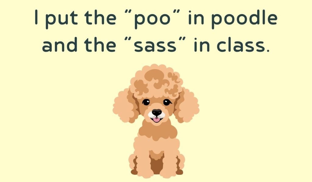 poodle puns and jokes