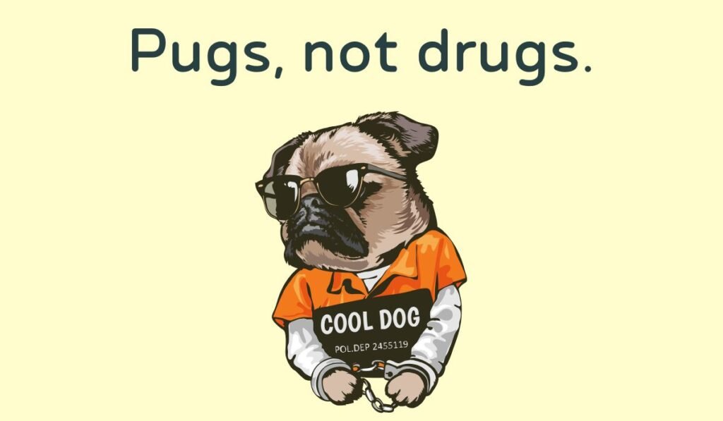 pug puns and jokes