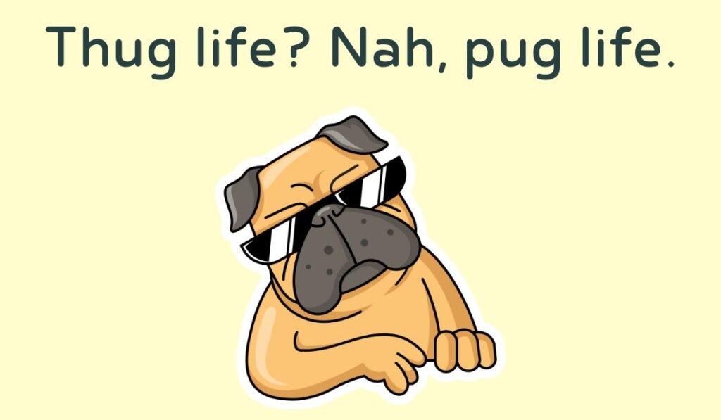 pug puns and jokes