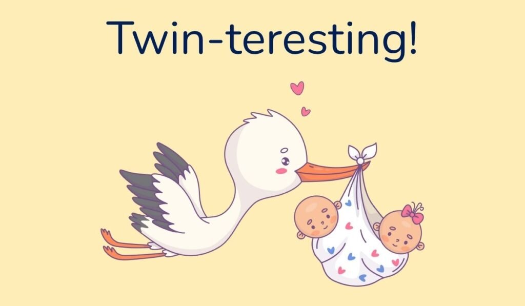 twin puns and jokes