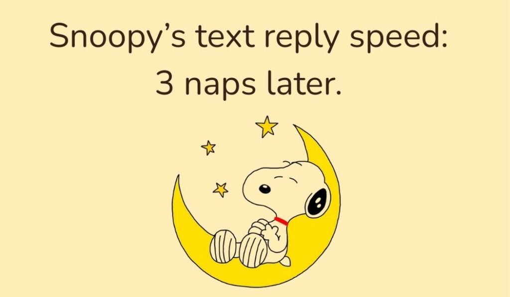snoopy puns and jokes