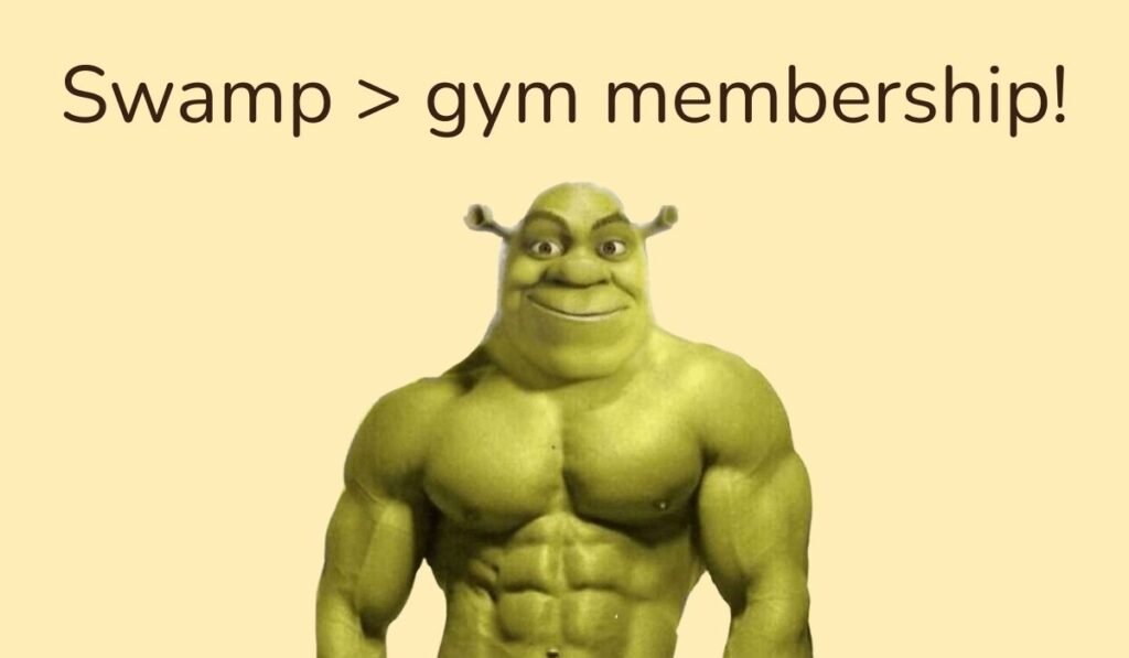 shrek puns and jokes