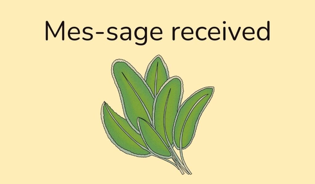 Playful herb pun image showing sage leaves with text ‘Mes-sage received’.