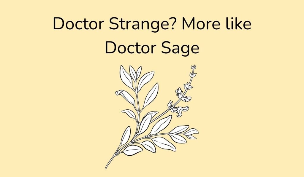Herb pun illustration with sage plant and text ‘Doctor Strange? More like Doctor Sage’.