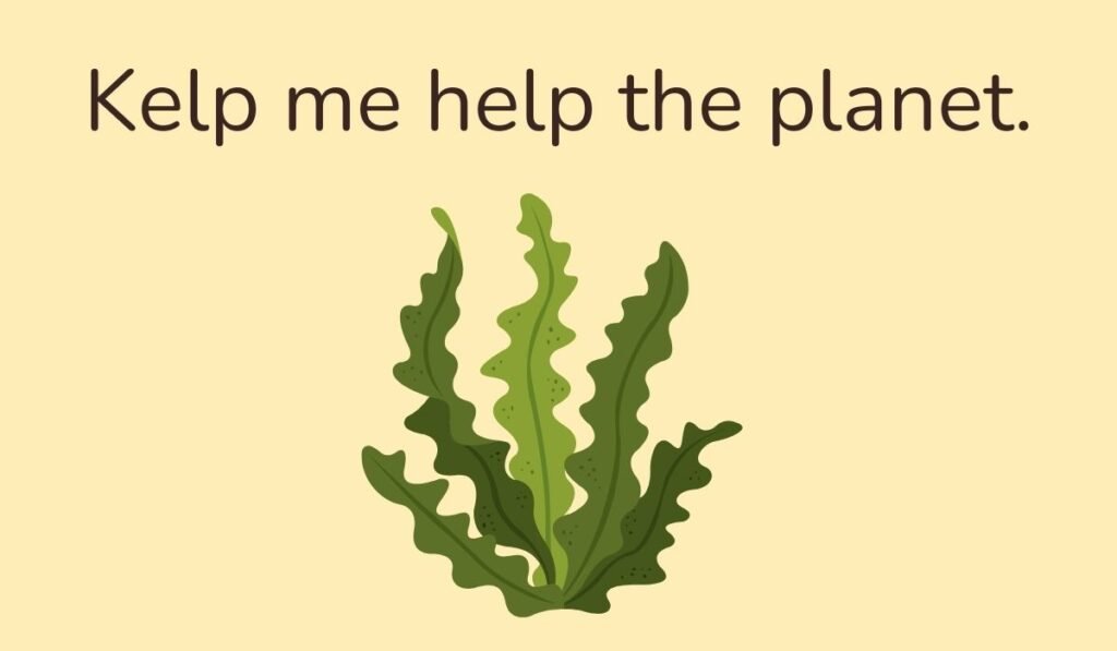 environmental science puns and jokes