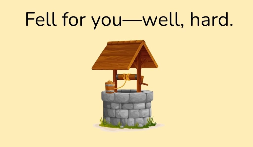 Funny well pun cartoon illustration with wooden water well and text “Fell for you—well, hard.”