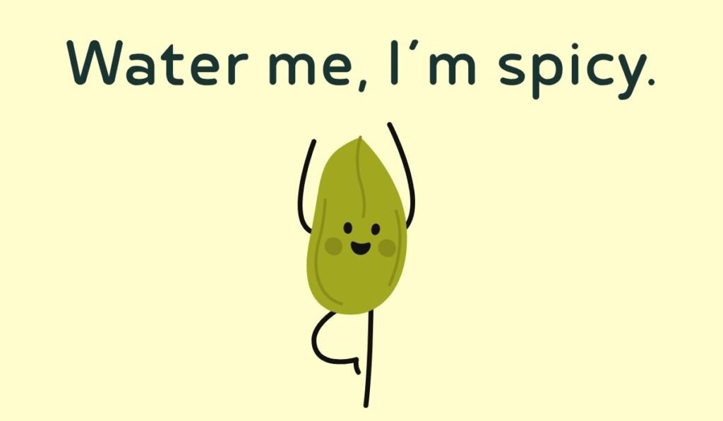 seed puns and jokes