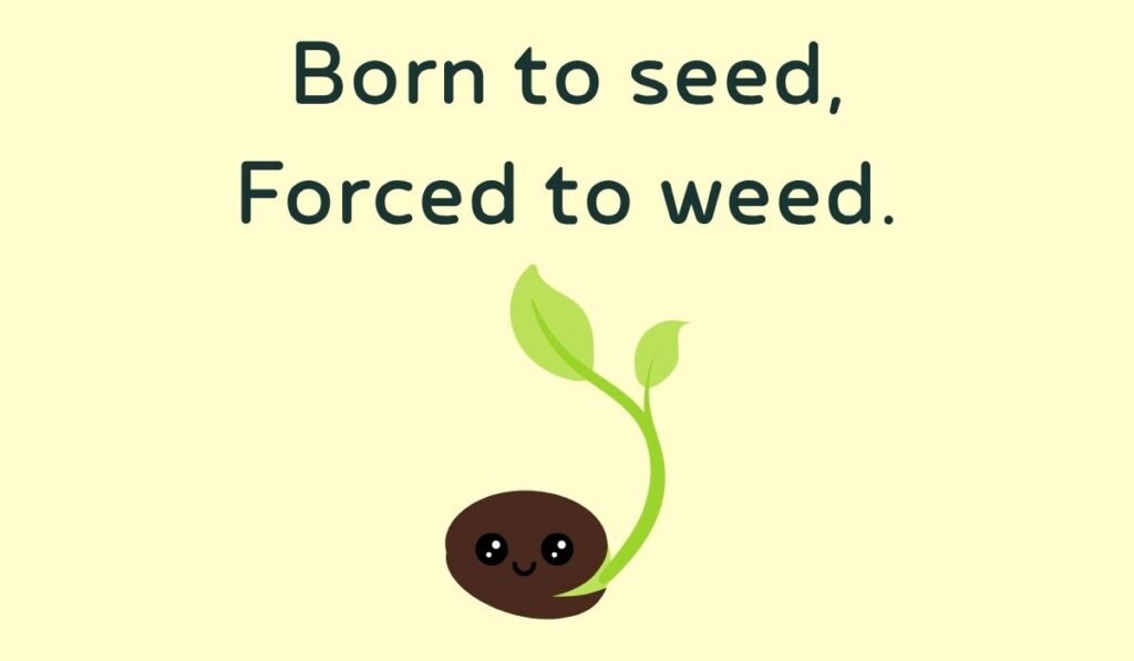 seed puns and jokes