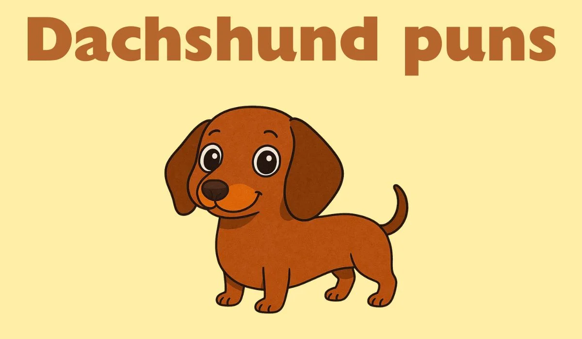 dachshund puns and jokes