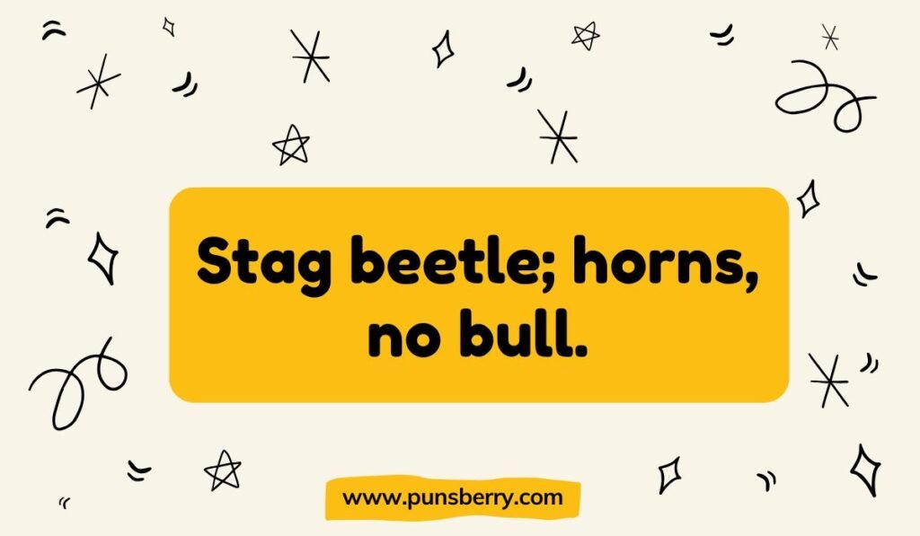 Stag beetle pun with horn joke and wordplay.