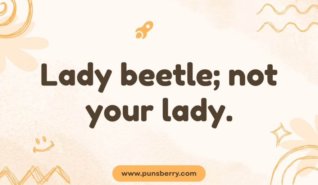 Funny lady beetle pun with playful wordplay.