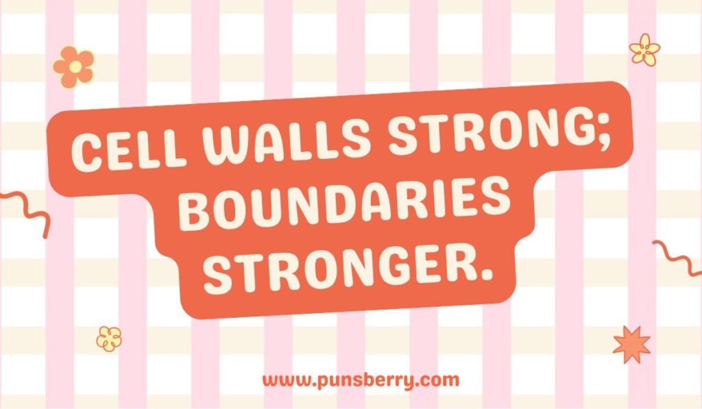 Science pun “Cell walls strong; boundaries stronger” on striped red and white background.