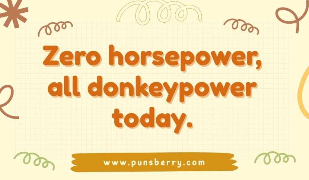 Funny donkey pun saying “Zero horsepower, all donkeypower today” – hilarious wordplay for donkey lovers.